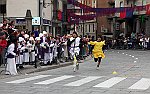 Gara delle Bighe 2011-7813